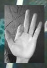 Hand landmark example 3
